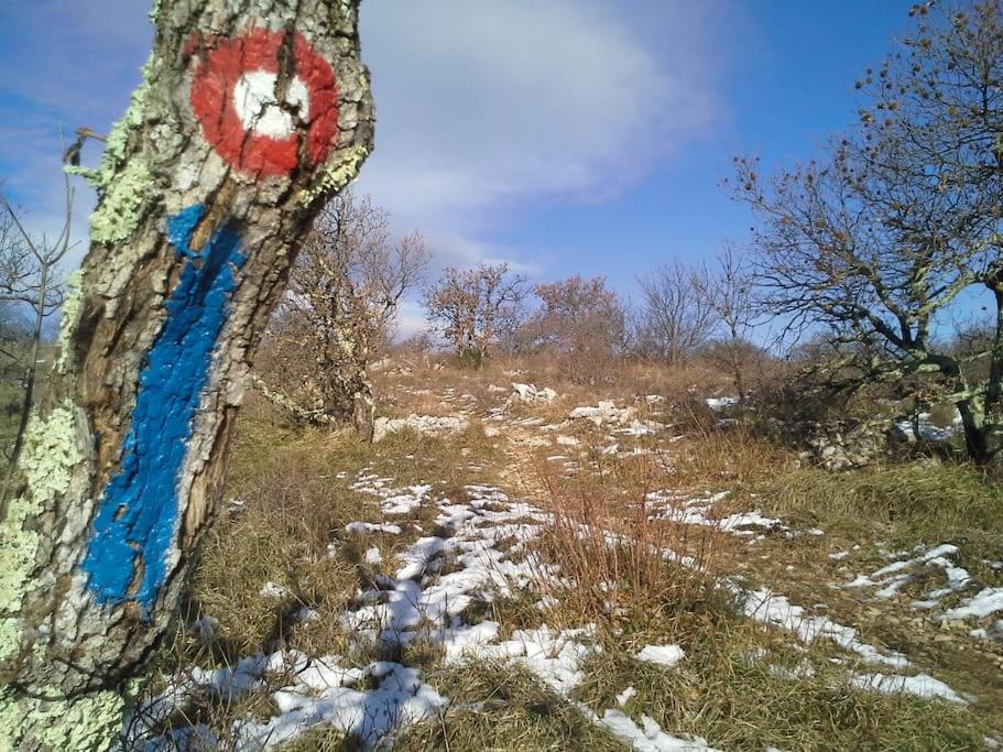 Istrian Experience Βίλα Socerga Εξωτερικό φωτογραφία